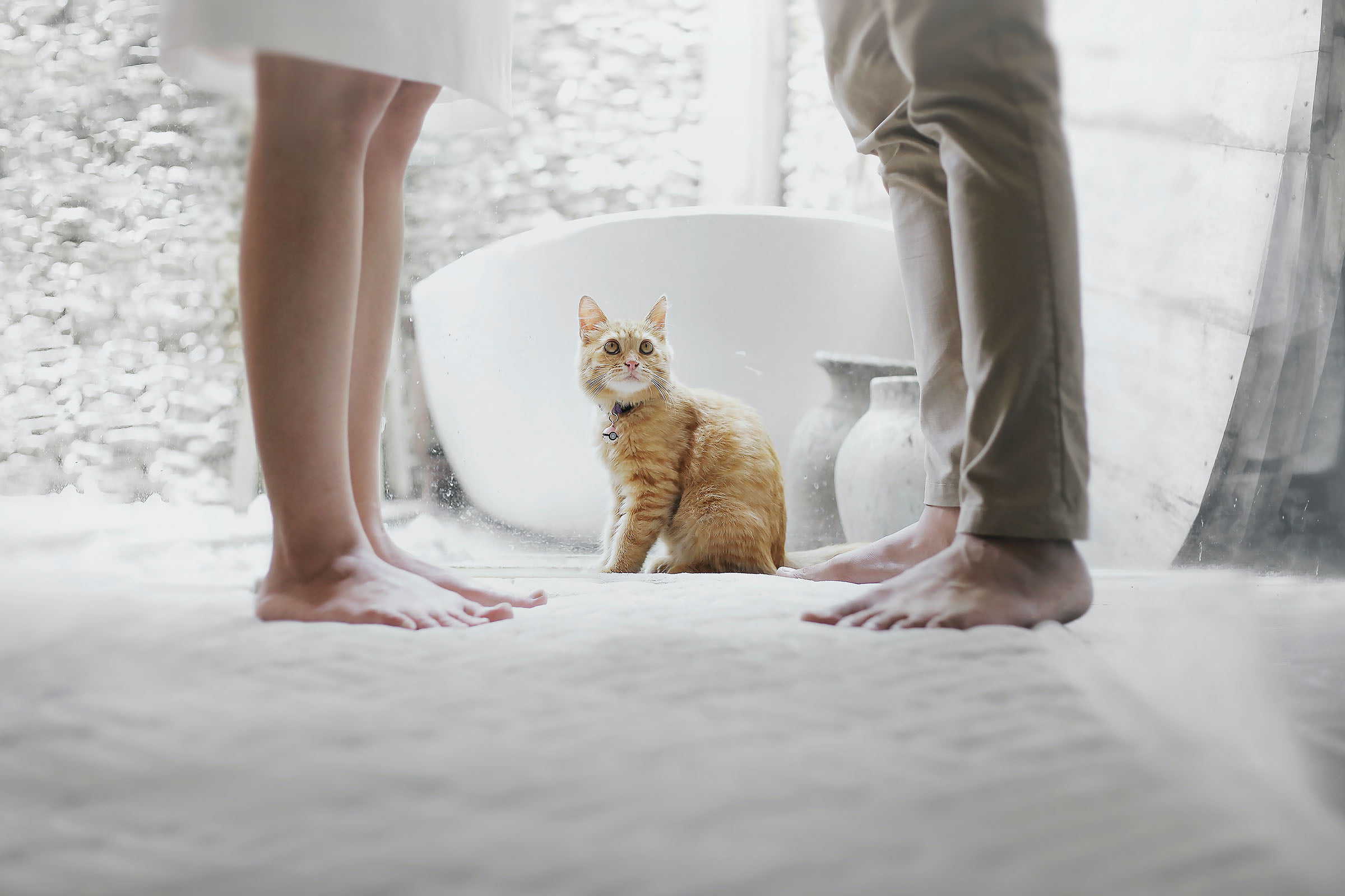 couple being watched by cat